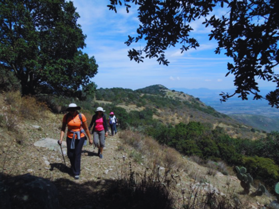 Hike Tour Caminata de Los Pichachos1